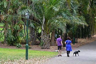 Brisbane City Botanic Gardens