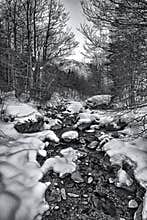 Snowy stream flows through the Pyrenees mountains during winter days with trees lining the banks
