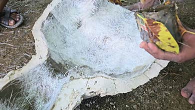 Indian Artisan Creating Fibre Sculpture, Resin Casting and Molding Process in Traditional Workshop