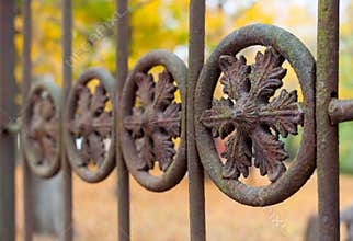 Iron fence detail macro