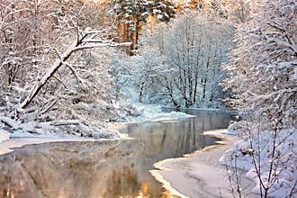 Winter landscape