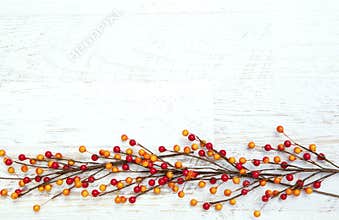 Autumn Thanksgiving Background