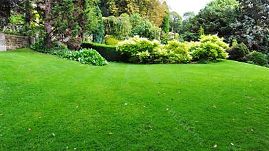 Beautiful Garden