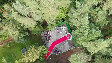 overhead drone shot captures an outdoor wedding ceremony nestled in a green forest, featuring a red carpet