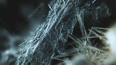 Microscopic view of hazardous asbestos fibers