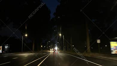 Night street with wet roadway lined by tall trees and car headlights