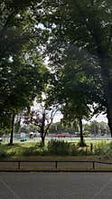 Leafy park trees frame outdoor sports field with players far in distance