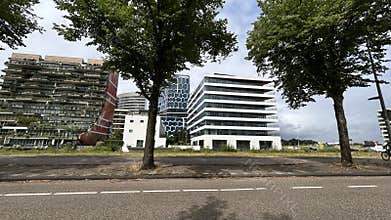 Modern office buildings framed by mature trees beside wide urban road in
