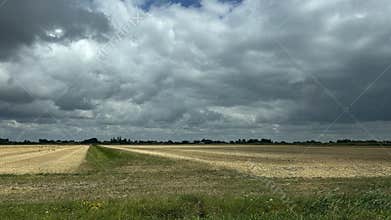 Wide rural farmland with harvested fields, grassy foreground, distant tree line