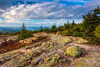 View from Blue Hill Overlook in Acadia National Park, Maine.