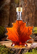 Maple Syrup