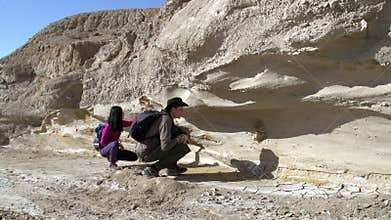 Paleontological Research