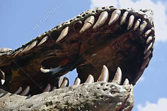 Dinosaur Teeth and Jaw