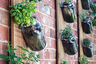 Vertical garden