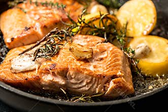 Grilled salmon fish with herbs, garlic and lemon