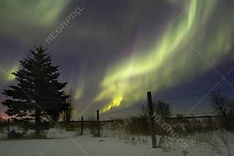 Aurora