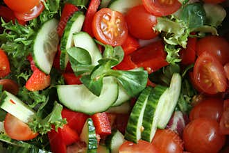 Organicsalad