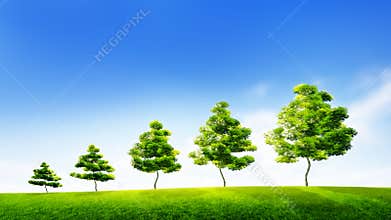 Sustainable growth. Successful development. Business strategy. Green technologies.