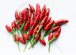 Red hot chili peppers