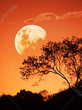Sunset and the rising moon