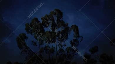 Dramatic Lightning Storm Over Trees with Heavy Rain at Night
