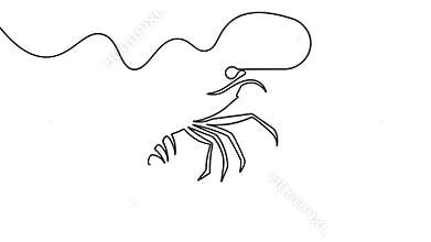Minimalist shrimp continuous line drawing icon loop animation