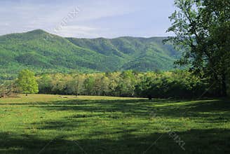 Field, Mountains, Spring