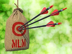 MLM - Arrows Hit in Red Target.