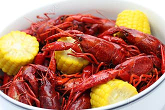 Boiled crawfish, clayfish party