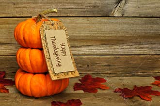 Happy Thanksgiving
