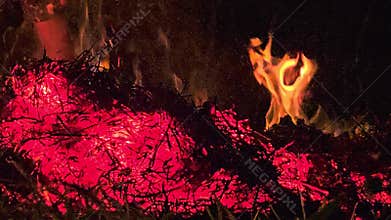 Glowing Fire Embers and Burning Close-Up, Red Hot Flames and Sparks
