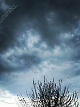 Dramatic Clouds with Tree Silhouette at Dusk