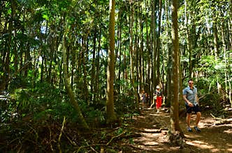 Mount Tamborine Gold Coast Queensland Australia