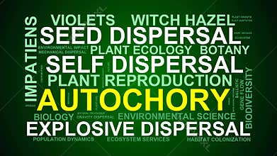 Autochory Word Cloud