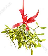 Mistletoe