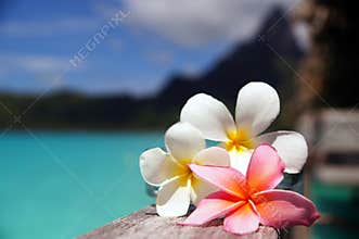 Bora Bora Getaway