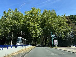 Tree-lined urban road beside tram line with modern tram, blue bridge