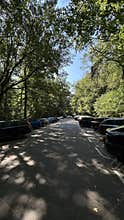 Tree lined parking road with parked cars beside dense summer greenery and