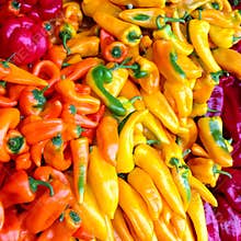 Bin of colorful peppers