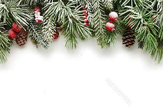 Christmas tree branches background
