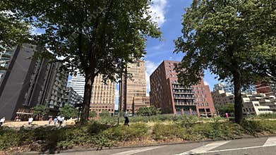 Tree lined urban plaza with modern office towers, apartment blocks and