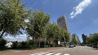 Modern high rise towers beside tree lined urban road under clear blue