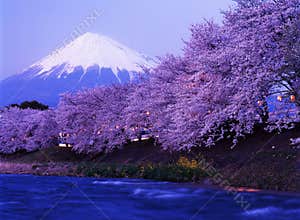 Mt fuji-233