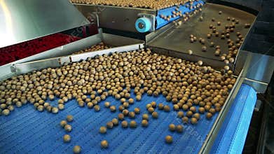 Simulation of the process of hazelnut calibration in a carriage of a factory