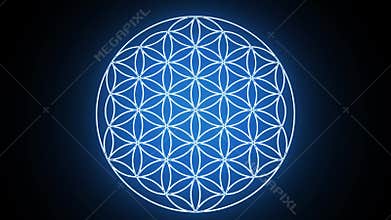 The Flower of Life Forming Sacred Geometry Symbol