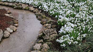 Spring landscapes design in arboretum