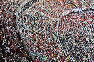 Crowd of fans