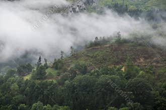 Deforestation in the forest of Basque Country Spain