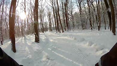 Cycling in snowy forest