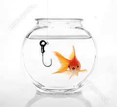 Do Not Take The Bait